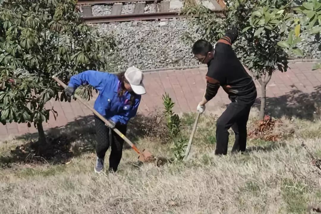 �ػ���ɫ��԰��������ɫ����