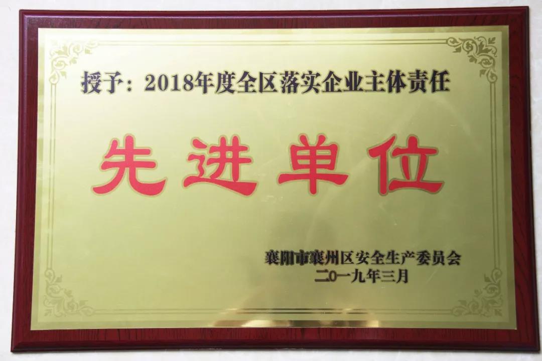 �ǿ�����-�ǿ�����(�й�)�ٷ���վ�ع�������2018��� ȫ����ʵ��ҵ���������Ƚ���λ